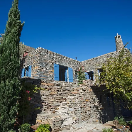 Daire Blue Window House